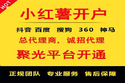 某行业巨头背后的SEM代运营服务公司